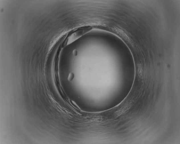 X0000069790676200605221115