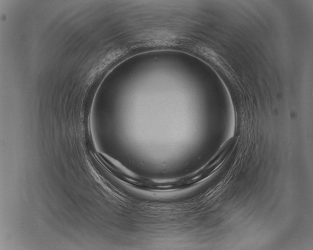 X0000069790677200605221115