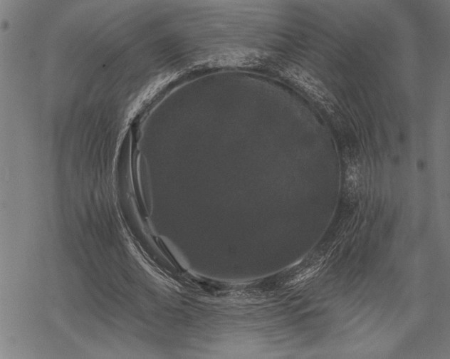 X0000069790678200605221115