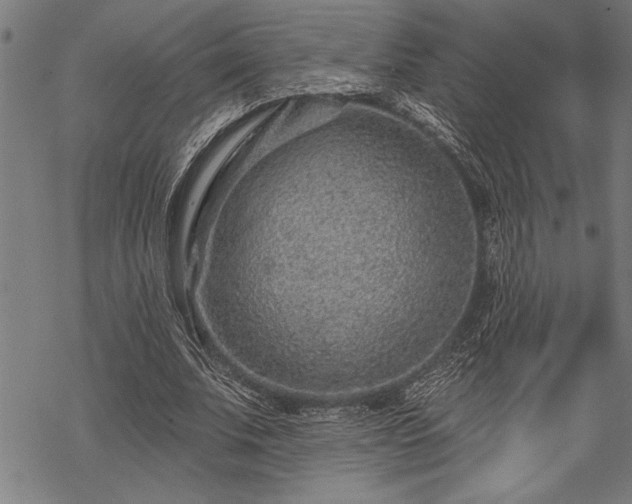 X0000069790679200605221115