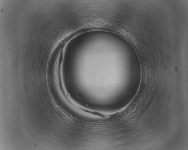 X0000069790680200605221115