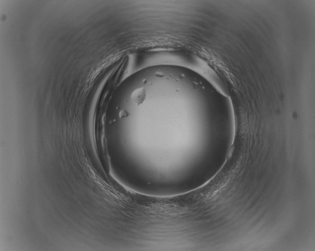 X0000069790681200605221115