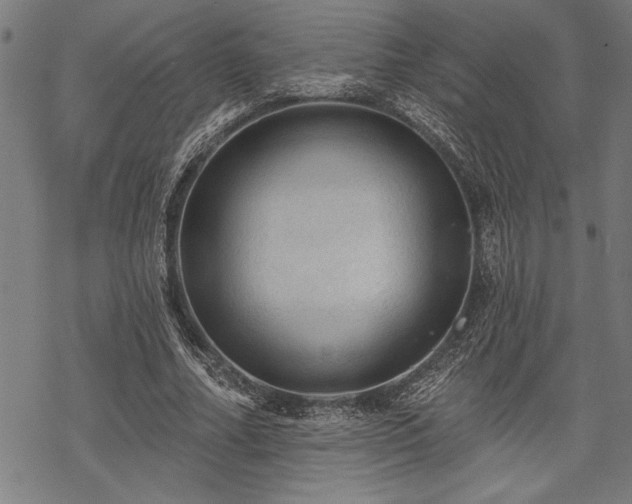 X0000069790682200605221115