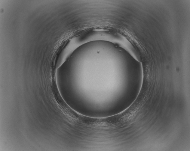 X0000069790685200605221115