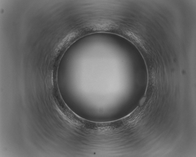 X0000069790686200605221115