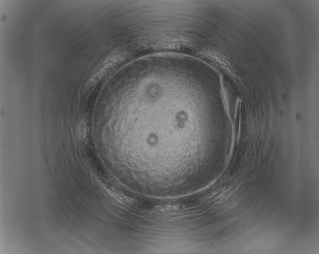 X0000069790687200605221115