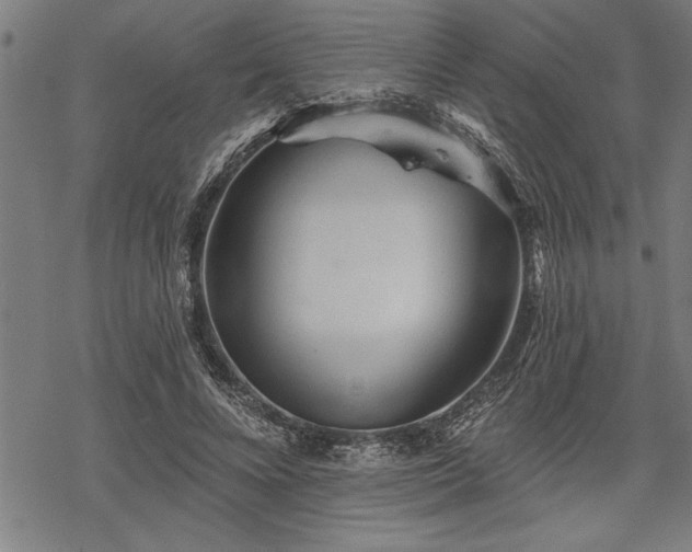 X0000069790688200605221115