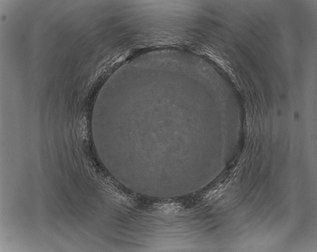 X0000069790689200605221115