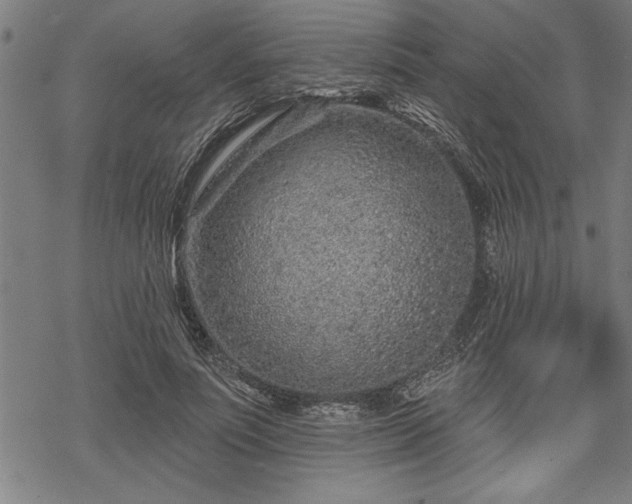 X0000069790691200605221115