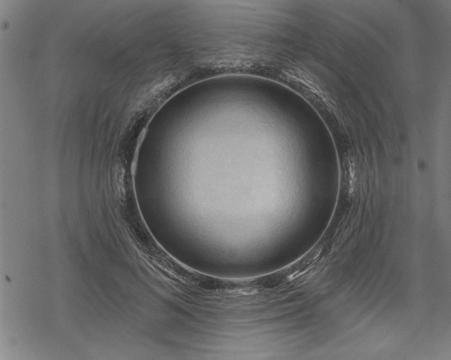 X0000069790692200605221115