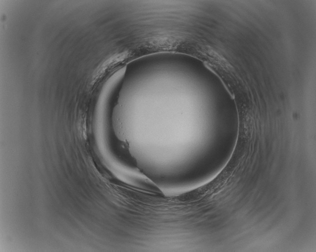 X0000069790693200605221115