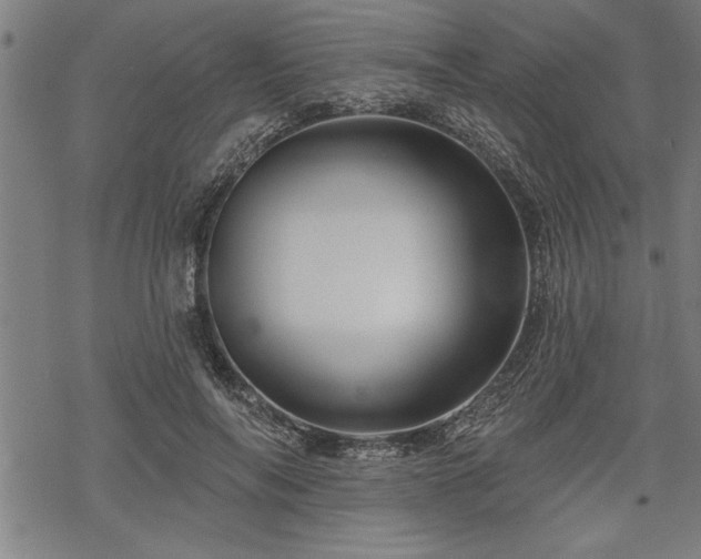 X0000069790694200605221115