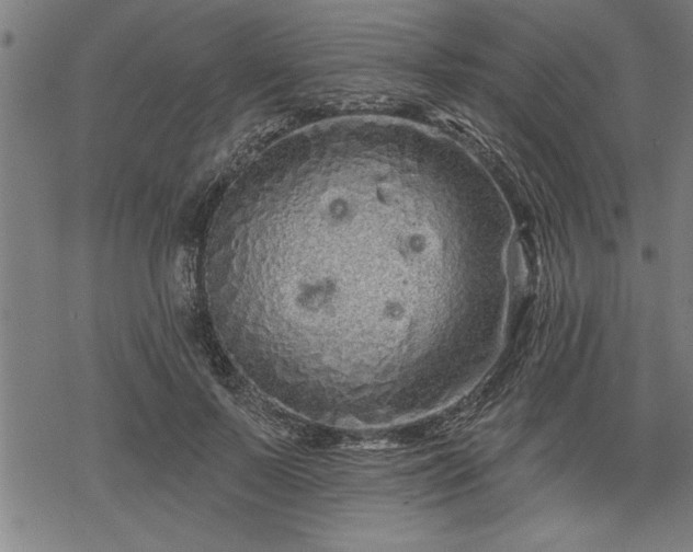 X0000069790695200605221115