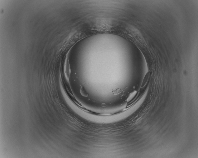 X0000069790697200605221115