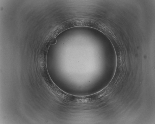 X0000069790698200605221115