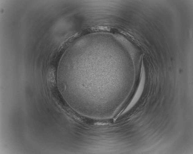 X0000069790699200605221115