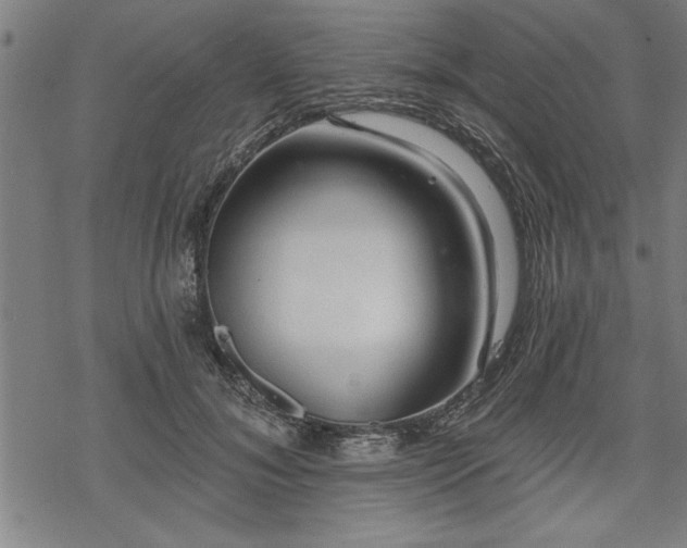 X0000069790700200605221115