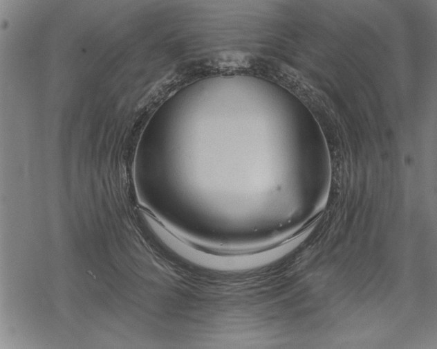 X0000069790704200605221115