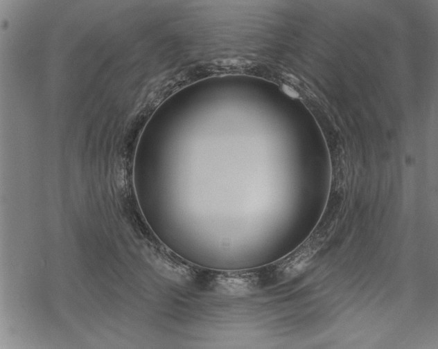 X0000069790706200605221115