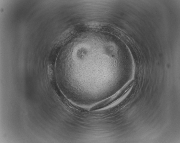 X0000069790707200605221115