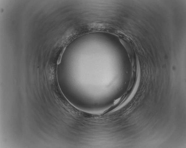 X0000069790708200605221115