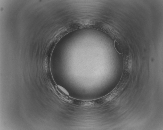 X0000069790710200605221115