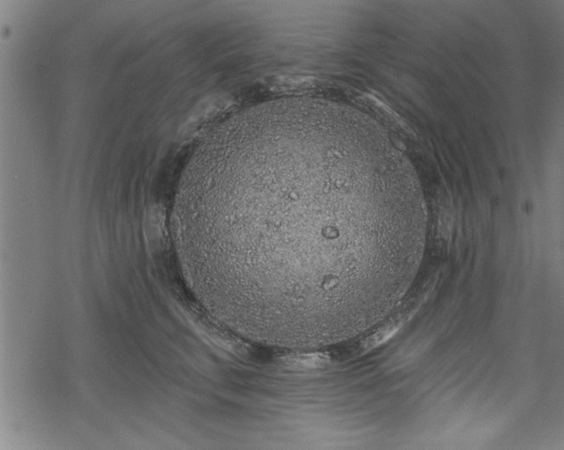 X0000069790711200605221114