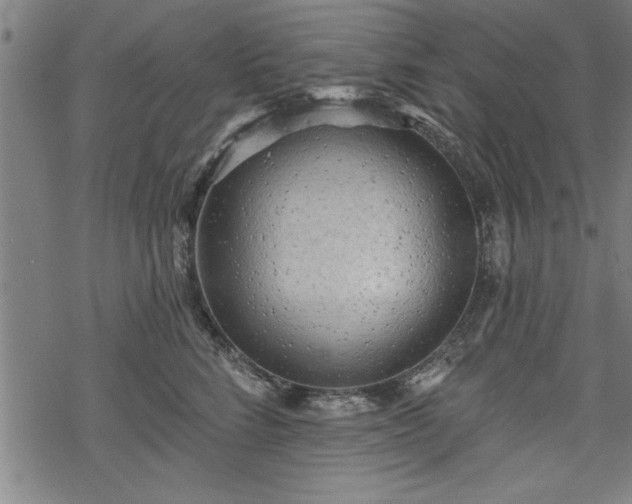 X0000069790712200605221114