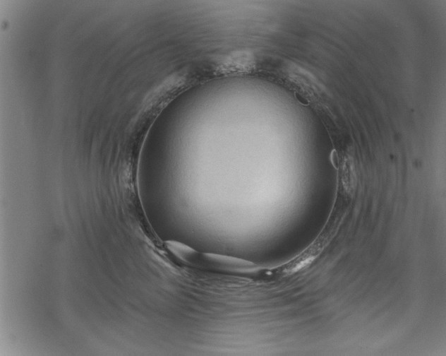 X0000069790714200605221114