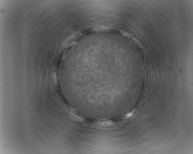 X0000069790716200605221114