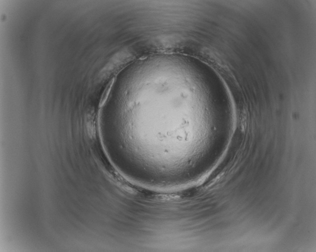 X0000069790719200605221114