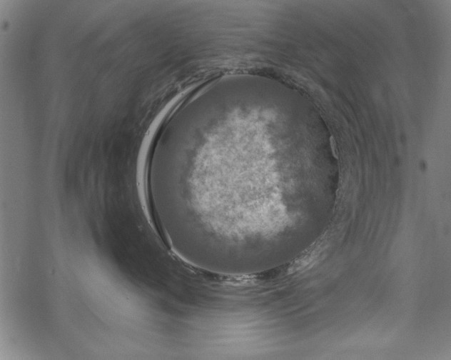 X0000069790720200605221114