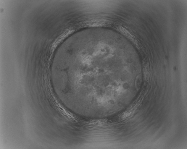 X0000069790721200605221114