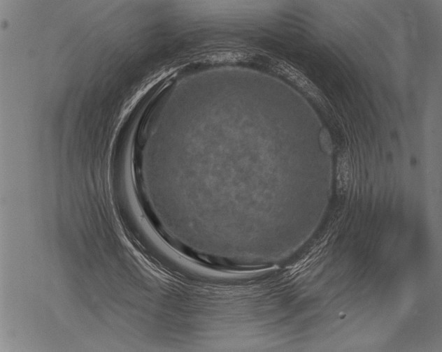 X0000069790722200605221114