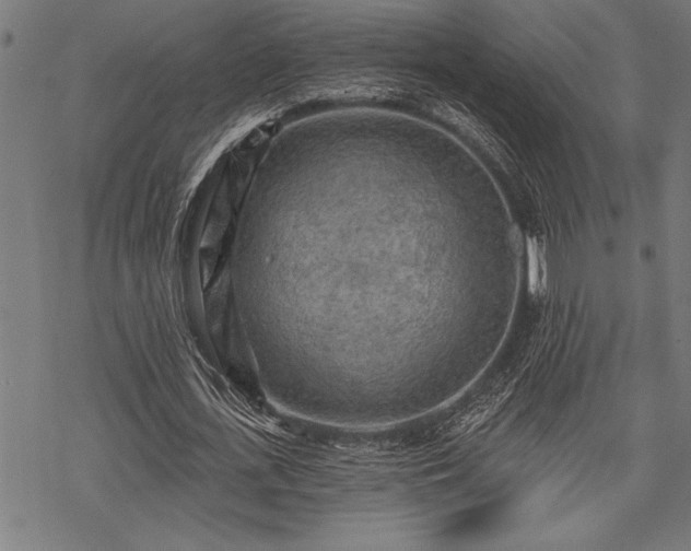 X0000069790723200605221114