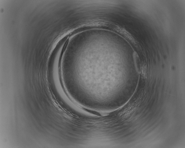 X0000069790724200605221114