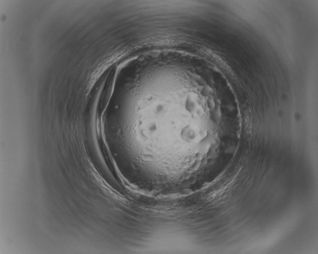 X0000069790725200605221114