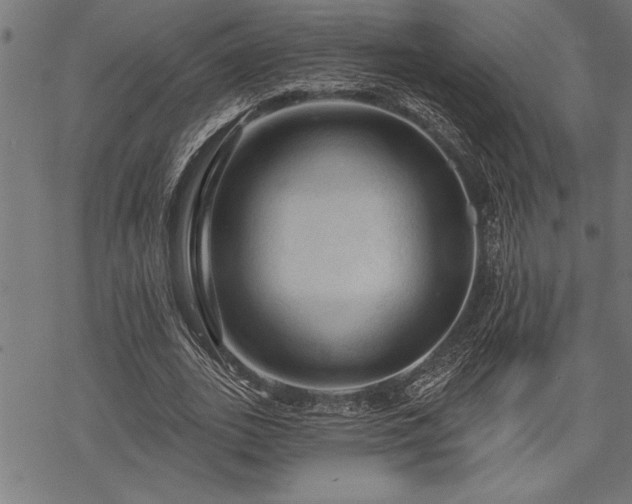 X0000069790727200605221114