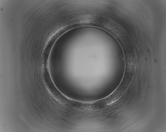 X0000069790728200605221114