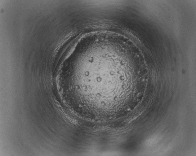 X0000069790729200605221114