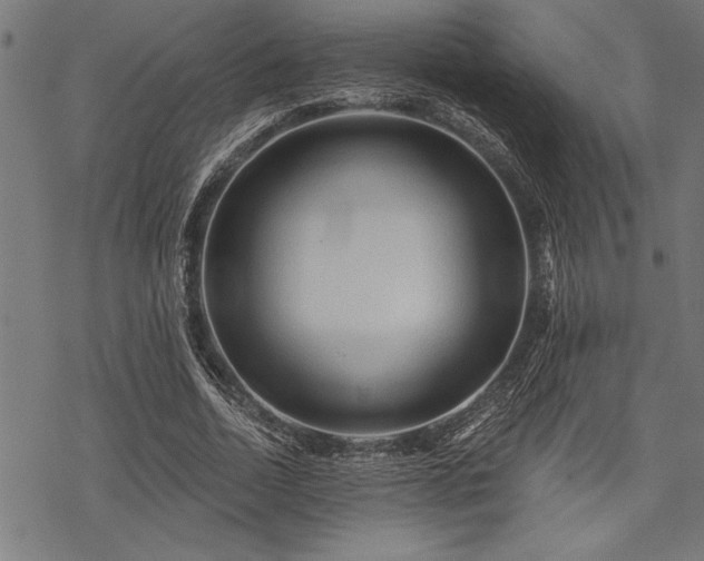 X0000069790730200605221114