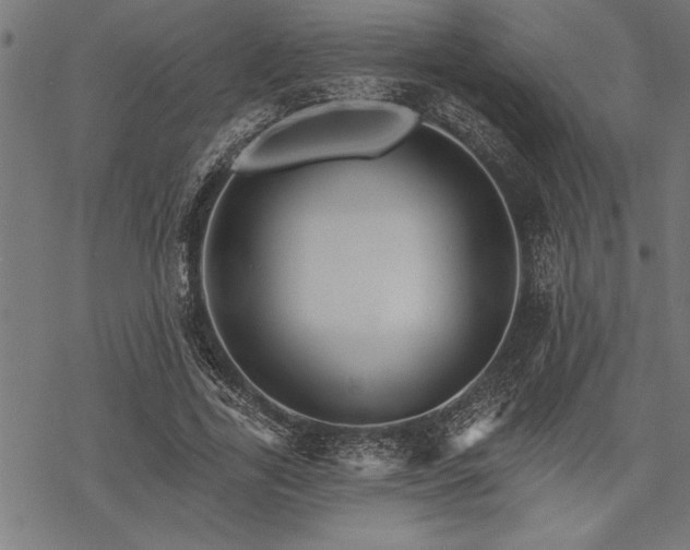 X0000069790731200605221114