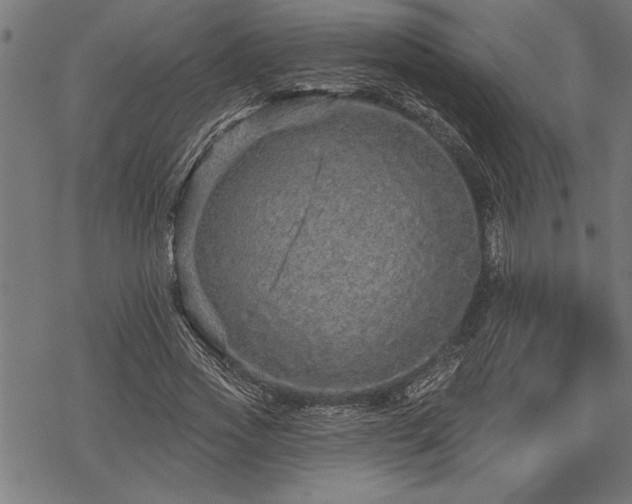 X0000069790733200605221114