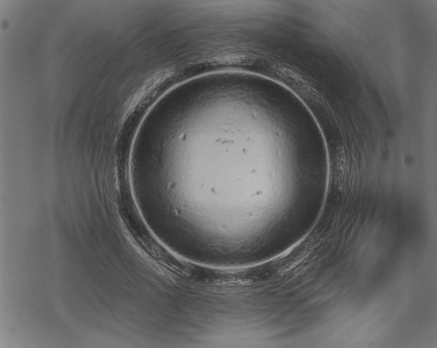 X0000069790734200605221114