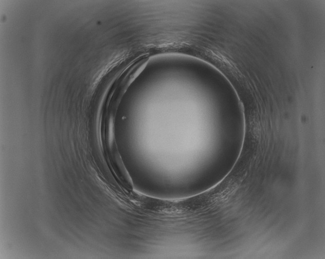 X0000069790735200605221114