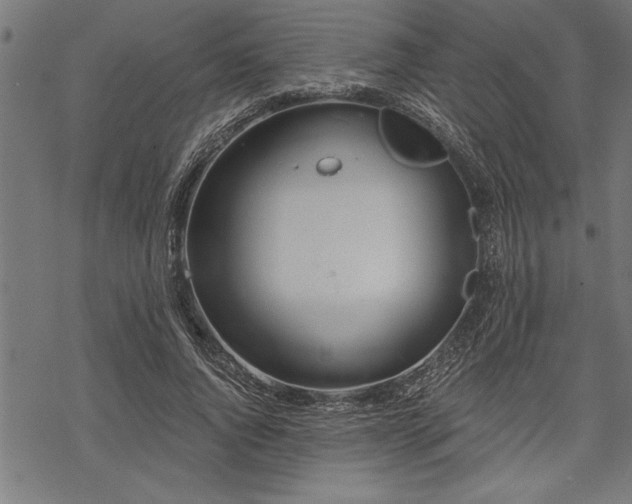 X0000069790736200605221114