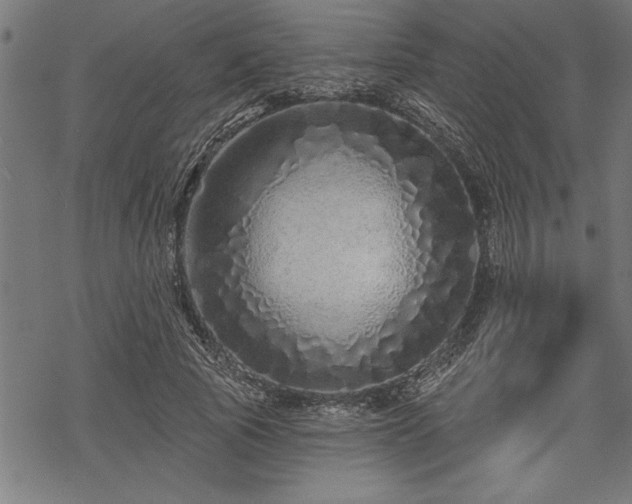 X0000069790737200605221114