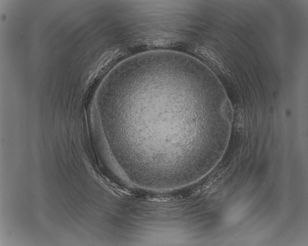 X0000069790738200605221114