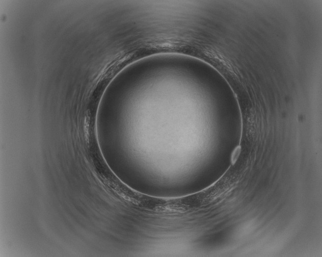 X0000069790739200605221114