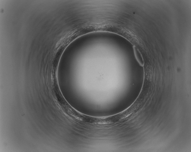 X0000069790740200605221114